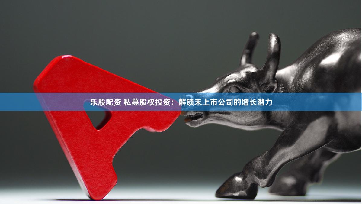 乐股配资 私募股权投资：解锁未上市公司的增长潜力